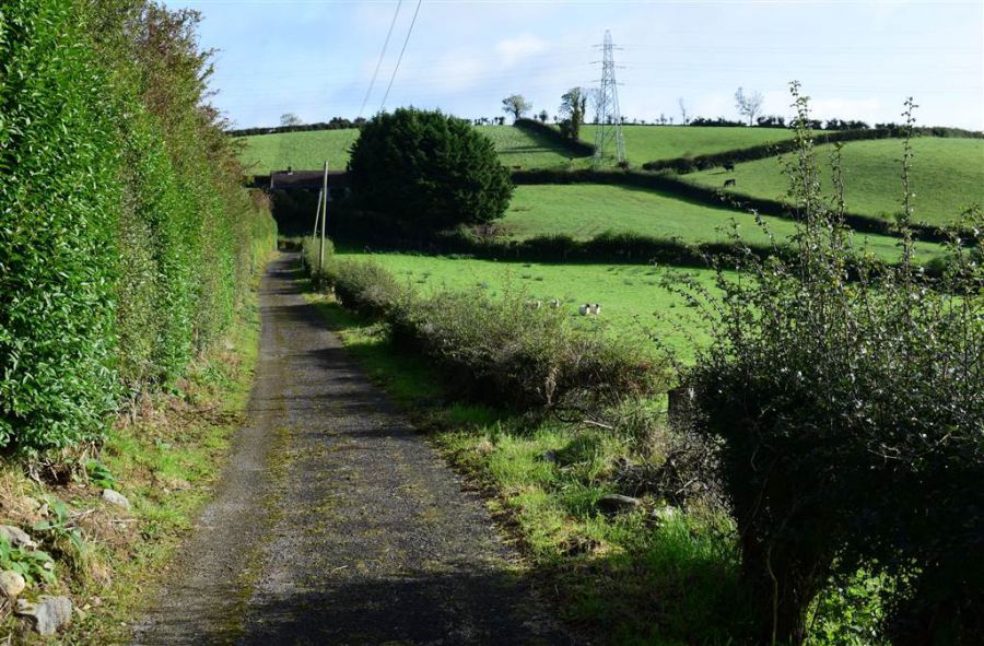 Bungalow with c. 20.5 acres, 71 Saintfield Road