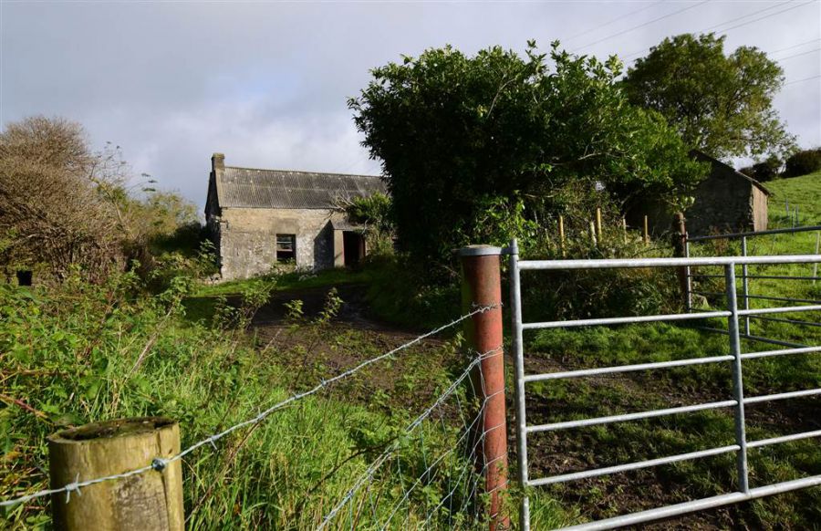 Bungalow with c. 20.5 acres, 71 Saintfield Road