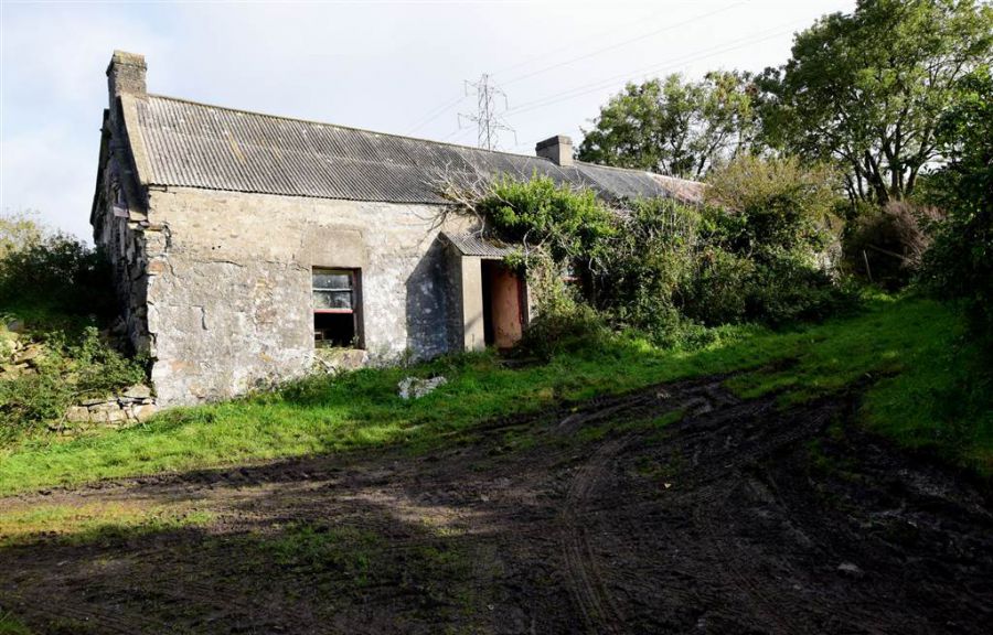 Bungalow with c. 20.5 acres, 71 Saintfield Road