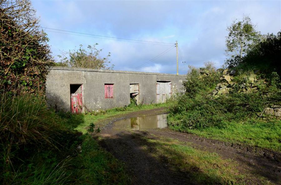 Bungalow with c. 20.5 acres, 71 Saintfield Road