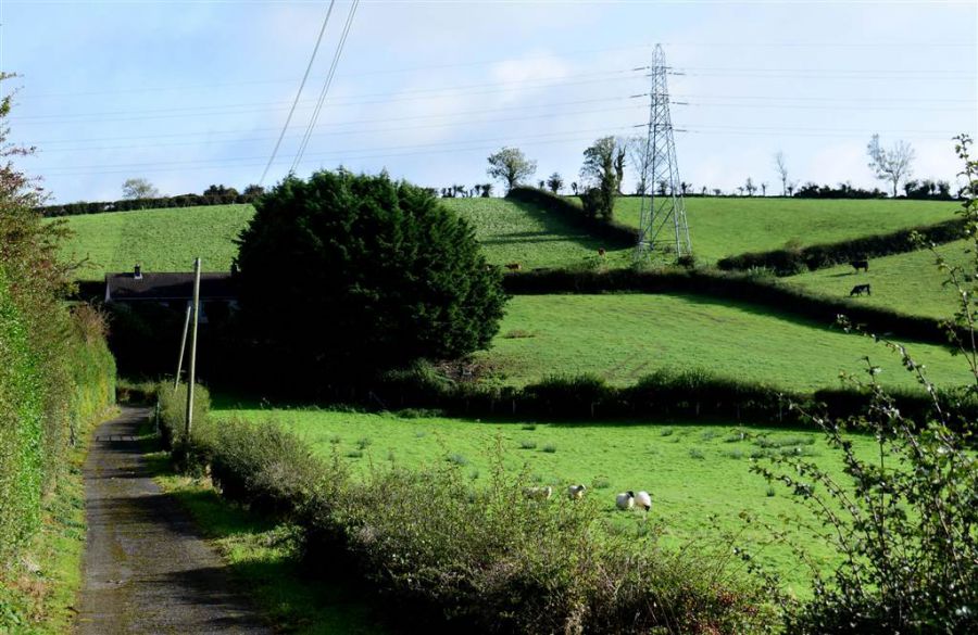 Bungalow with c. 20.5 acres, 71 Saintfield Road