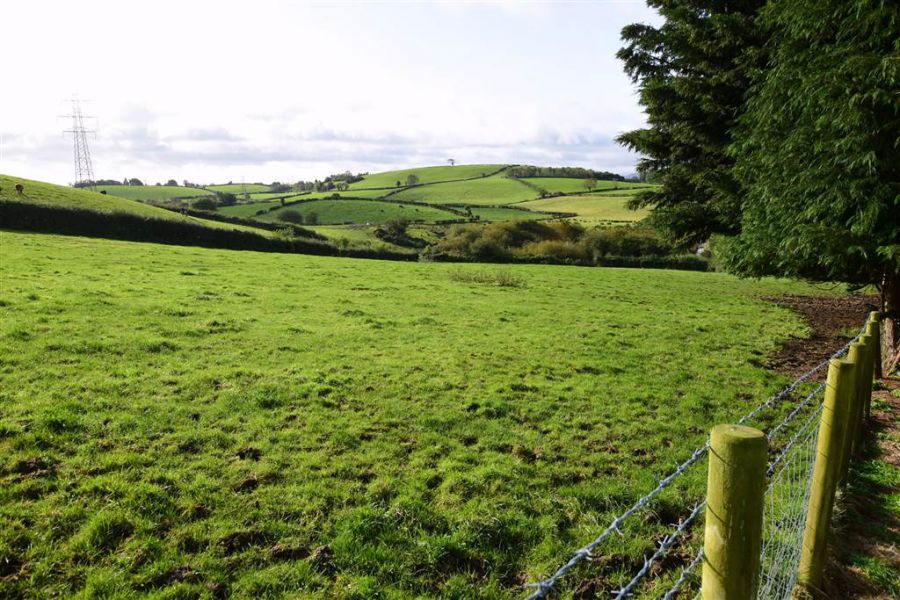 Bungalow with c. 20.5 acres, 71 Saintfield Road