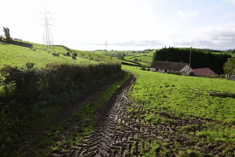 Bungalow with c. 20.5 acres, 71 Saintfield Road