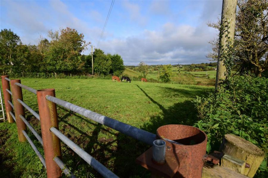 Bungalow with c. 20.5 acres, 71 Saintfield Road