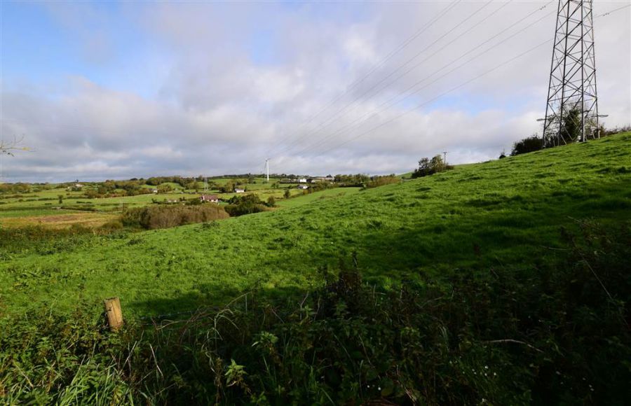 Bungalow with c. 20.5 acres, 71 Saintfield Road