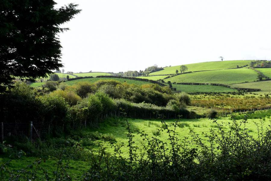 Bungalow with c. 20.5 acres, 71 Saintfield Road