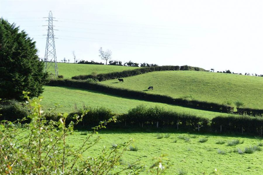 Bungalow with c. 20.5 acres, 71 Saintfield Road