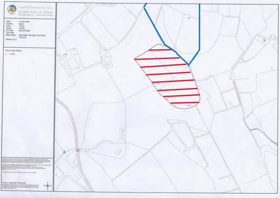 Bungalow with c. 20.5 acres, 71 Saintfield Road