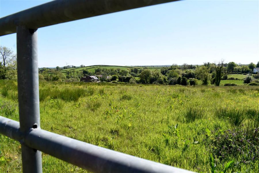 House & over 3 acres of land, 47 Tullygarvan Road