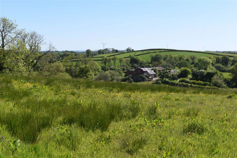 House & over 3 acres of land, 47 Tullygarvan Road