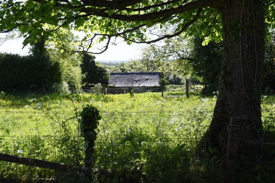House & over 3 acres of land, 47 Tullygarvan Road