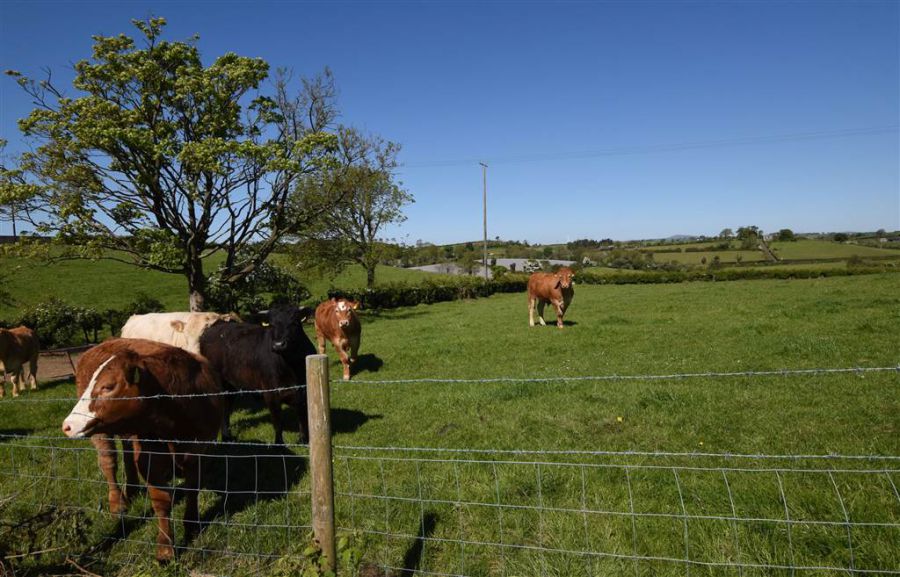 House & over 3 acres of land, 47 Tullygarvan Road
