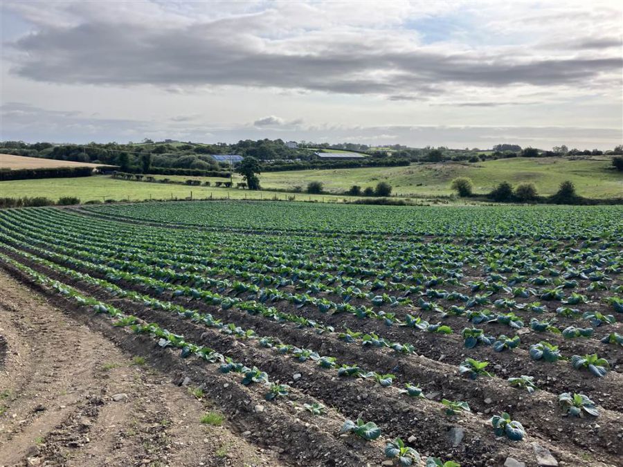 22 Acres At The Brae