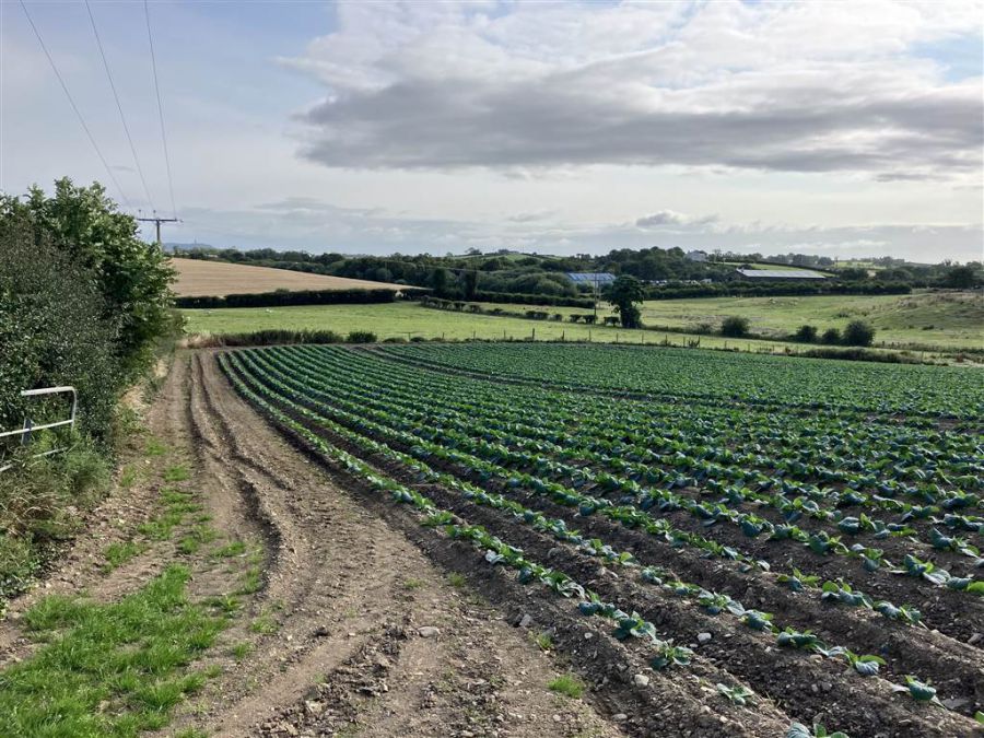 22 Acres At The Brae