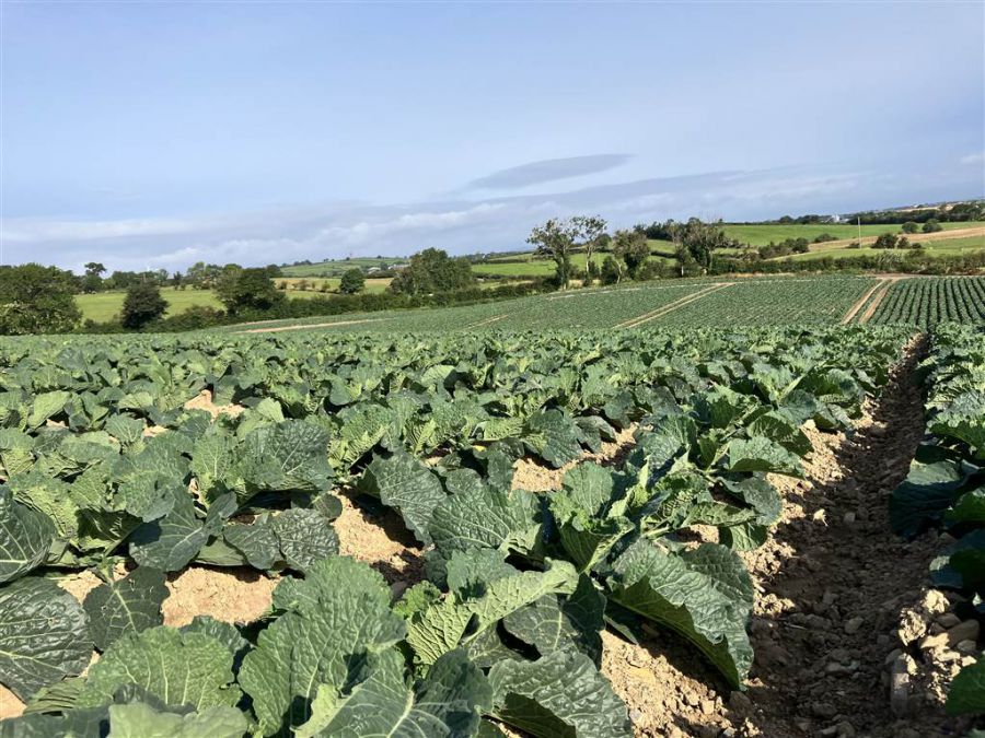 22 Acres At The Brae