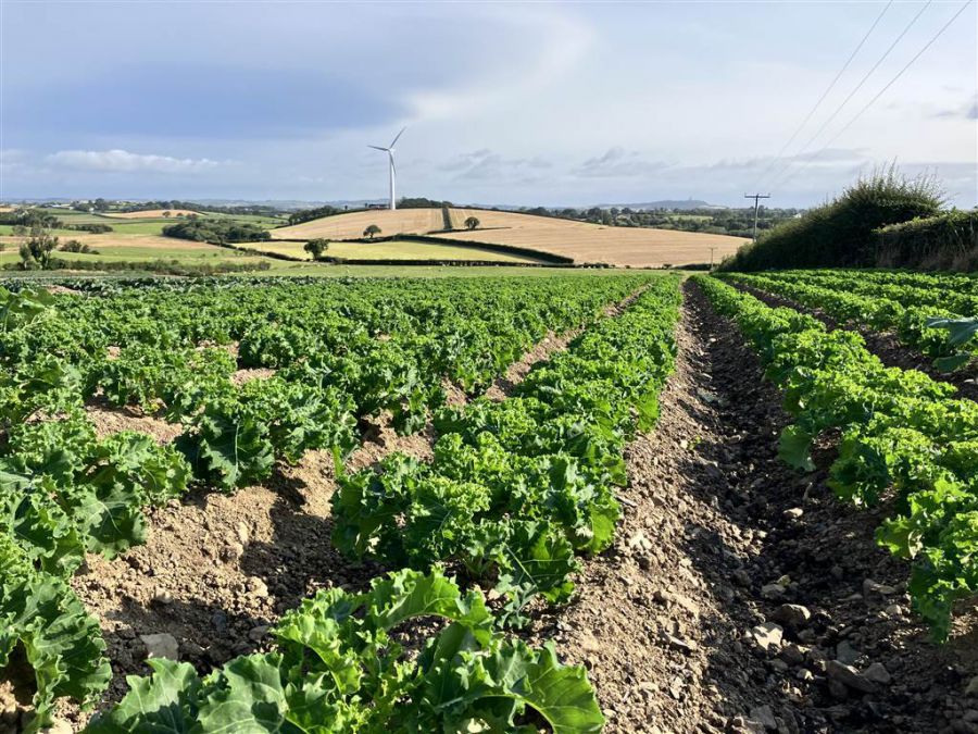 22 Acres At The Brae