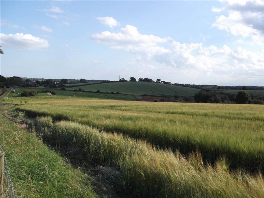 22 Acres At The Brae