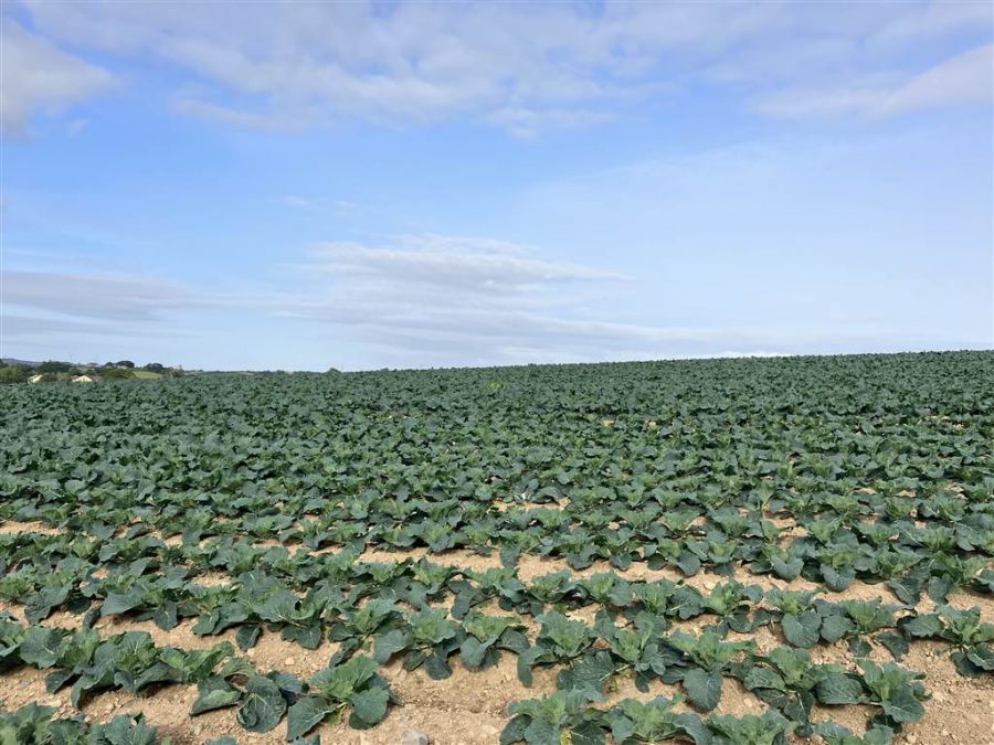 22 Acres At The Brae 22 Acres At The Brae