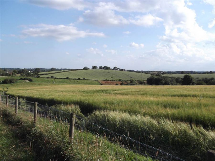 22 Acres At The Brae