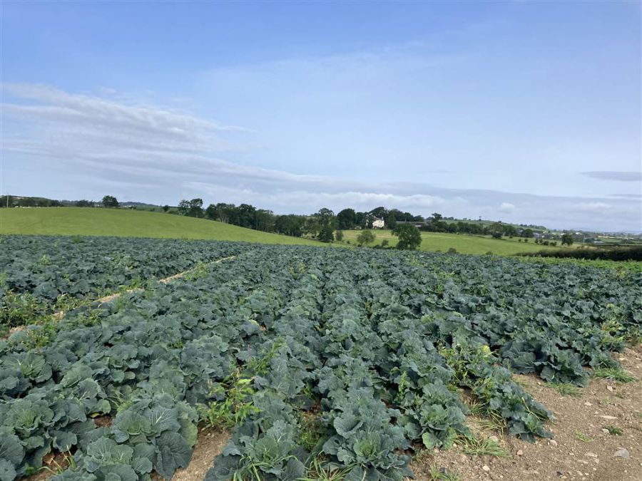 22 Acres At The Brae 22 Acres At The Brae