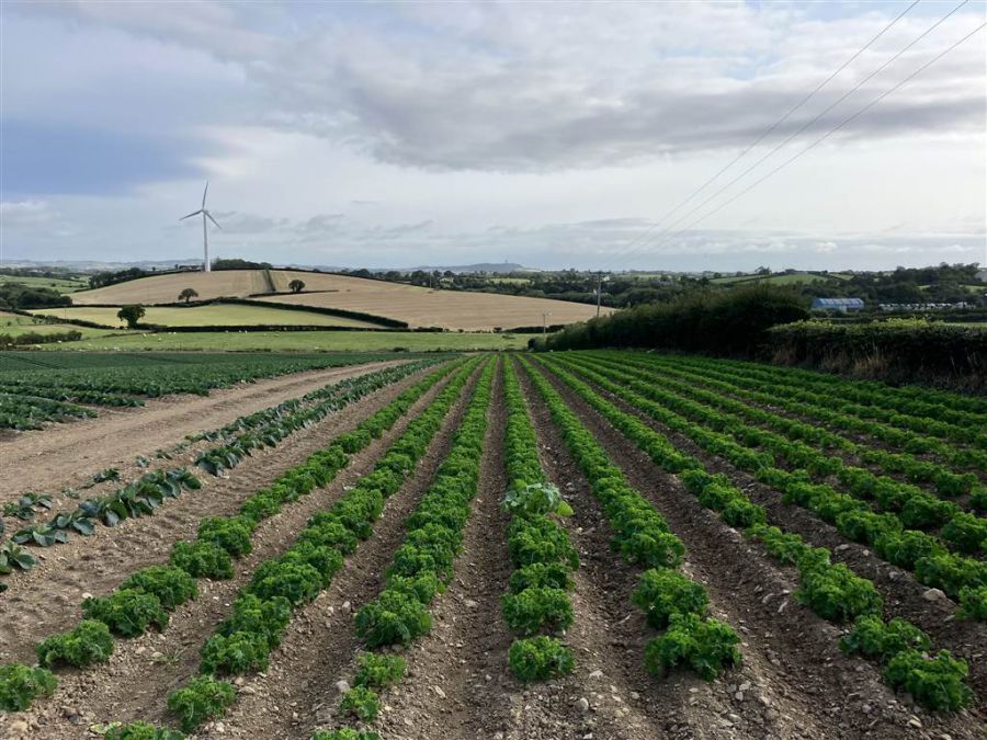22 Acres At The Brae 22 Acres At The Brae