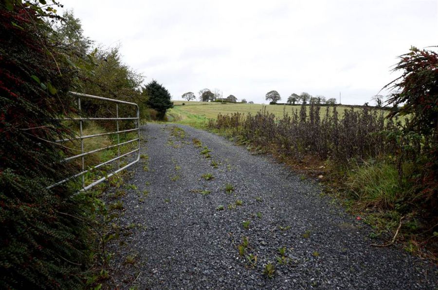 Bungalow & c.11 acres, 124 Moneyreagh Road