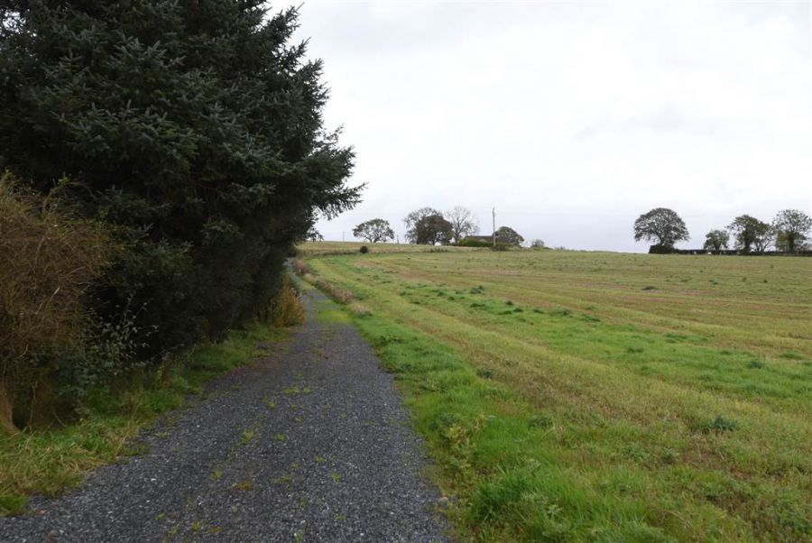 Bungalow & c.11 acres, 124 Moneyreagh Road