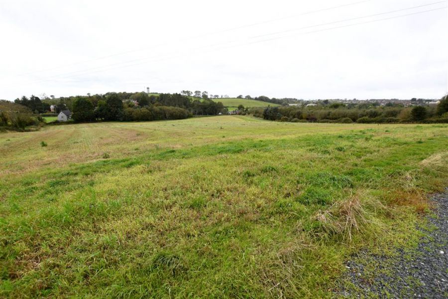 Bungalow & c.11 acres, 124 Moneyreagh Road