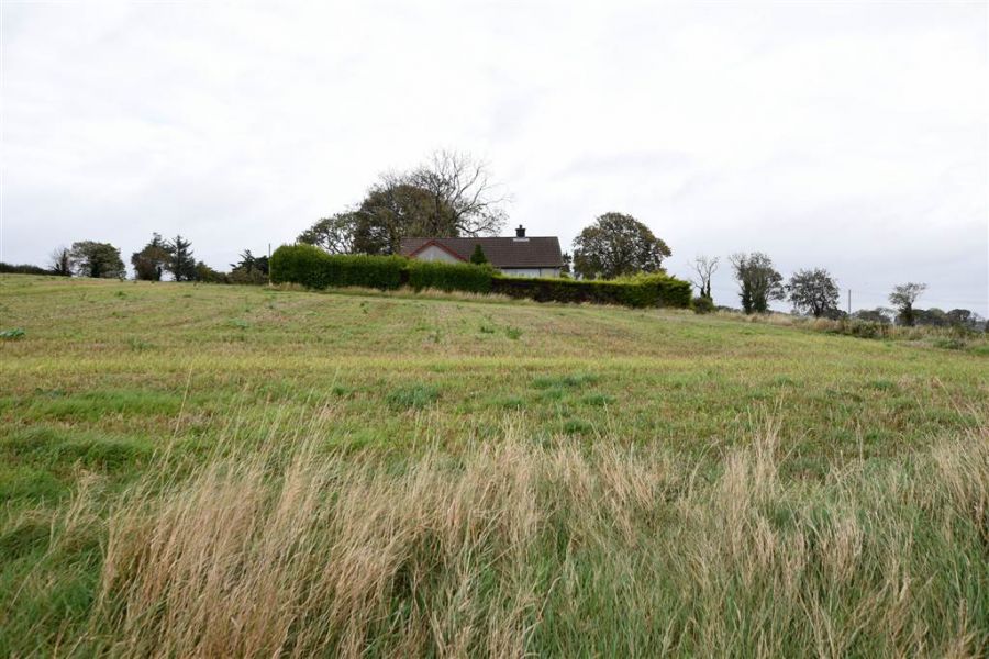 Bungalow & c.11 acres, 124 Moneyreagh Road