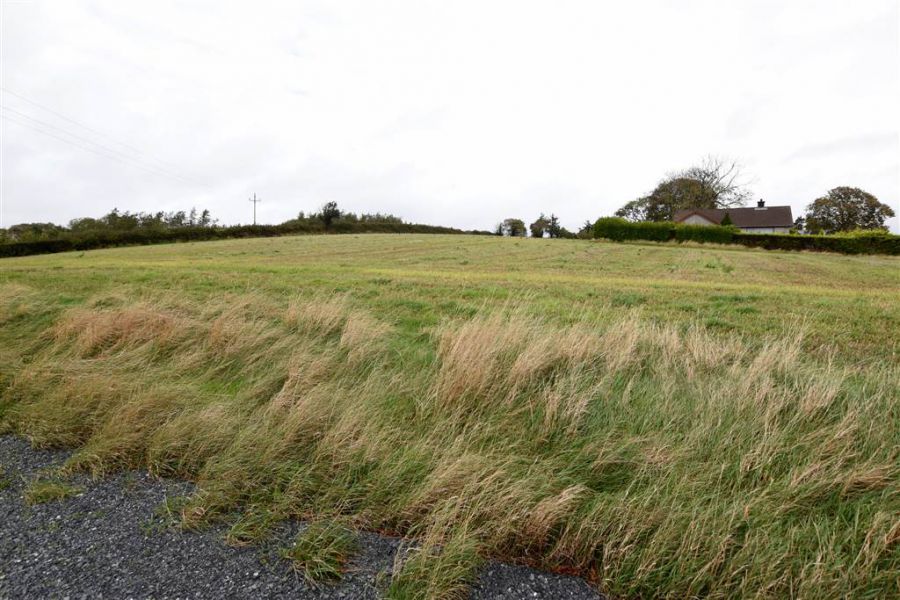 Bungalow & c.11 acres, 124 Moneyreagh Road