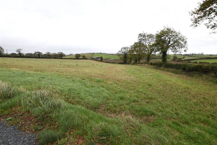 Bungalow & c.11 acres, 124 Moneyreagh Road