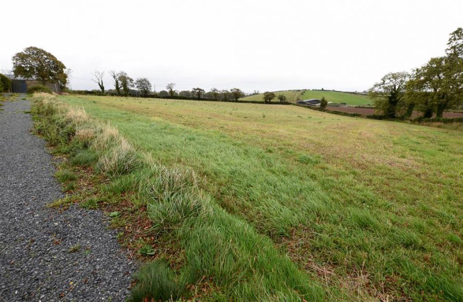 Bungalow & c.11 acres, 124 Moneyreagh Road