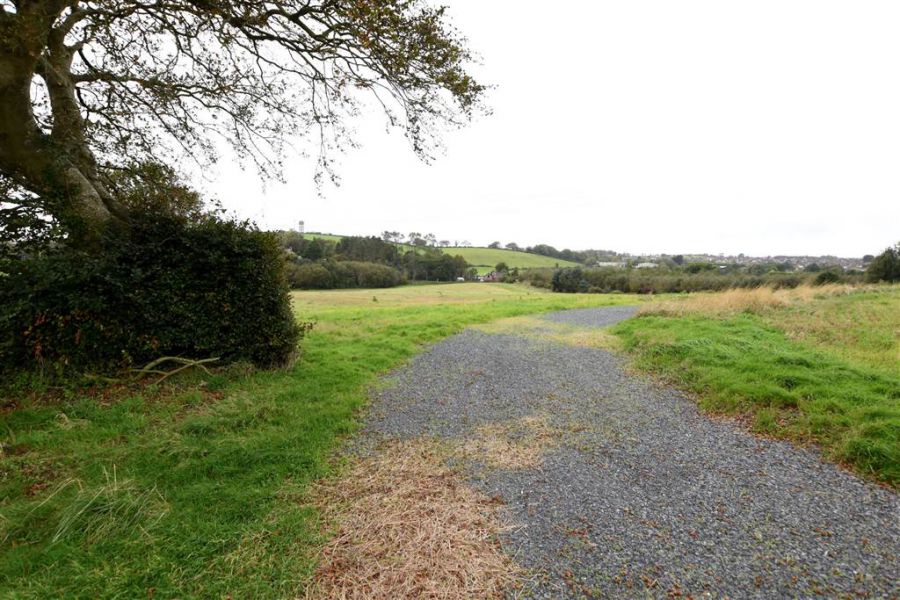 Bungalow & c.11 acres, 124 Moneyreagh Road