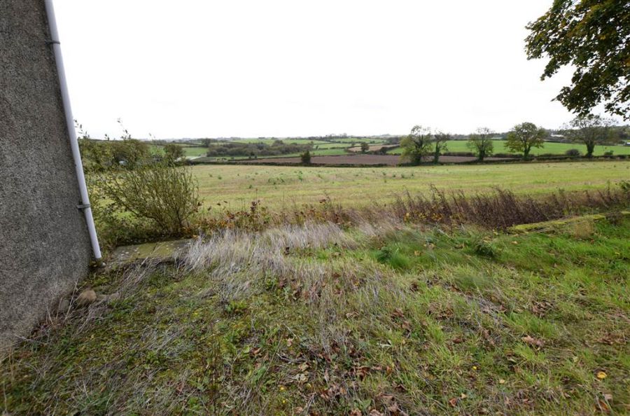 Bungalow & c.11 acres, 124 Moneyreagh Road