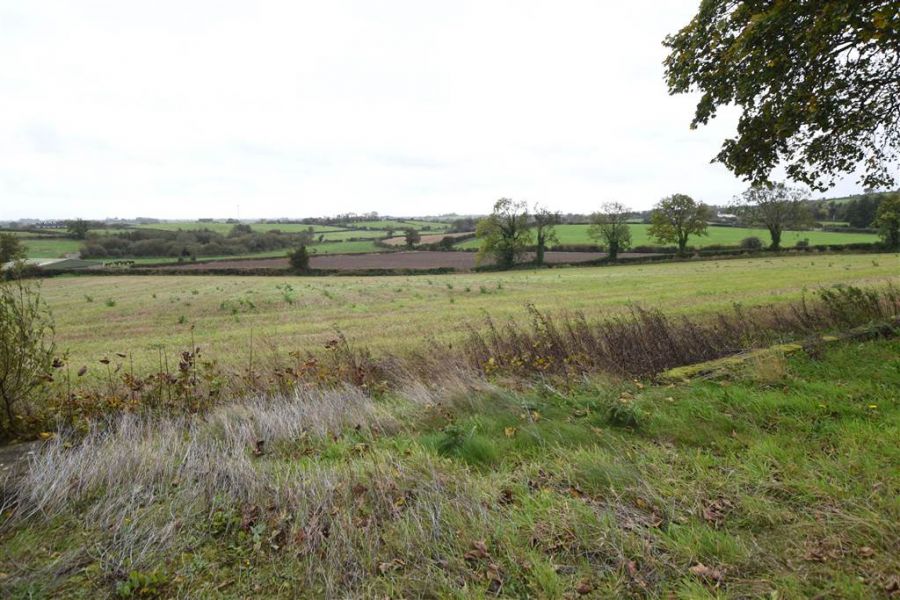 Bungalow & c.11 acres, 124 Moneyreagh Road