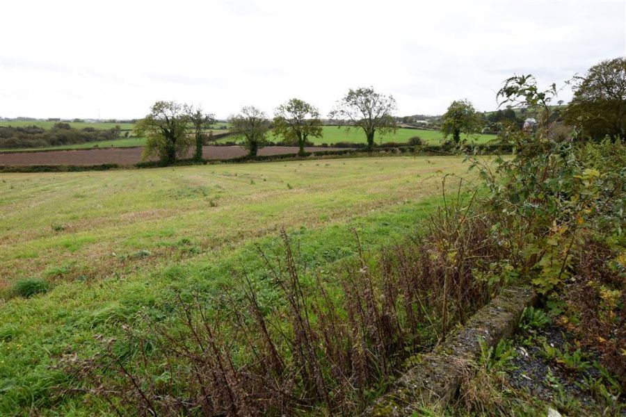 Bungalow & c.11 acres, 124 Moneyreagh Road