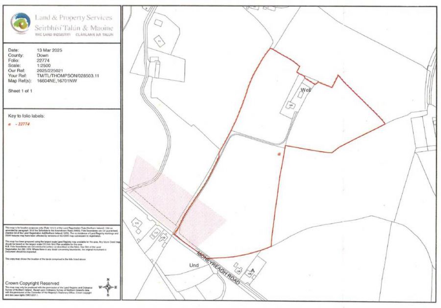Bungalow & c.11 acres, 124 Moneyreagh Road