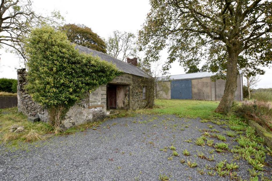 Bungalow & c.11 acres, 124 Moneyreagh Road