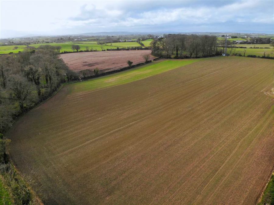 C. 61.2 Acres Agric Land Newtownards Road