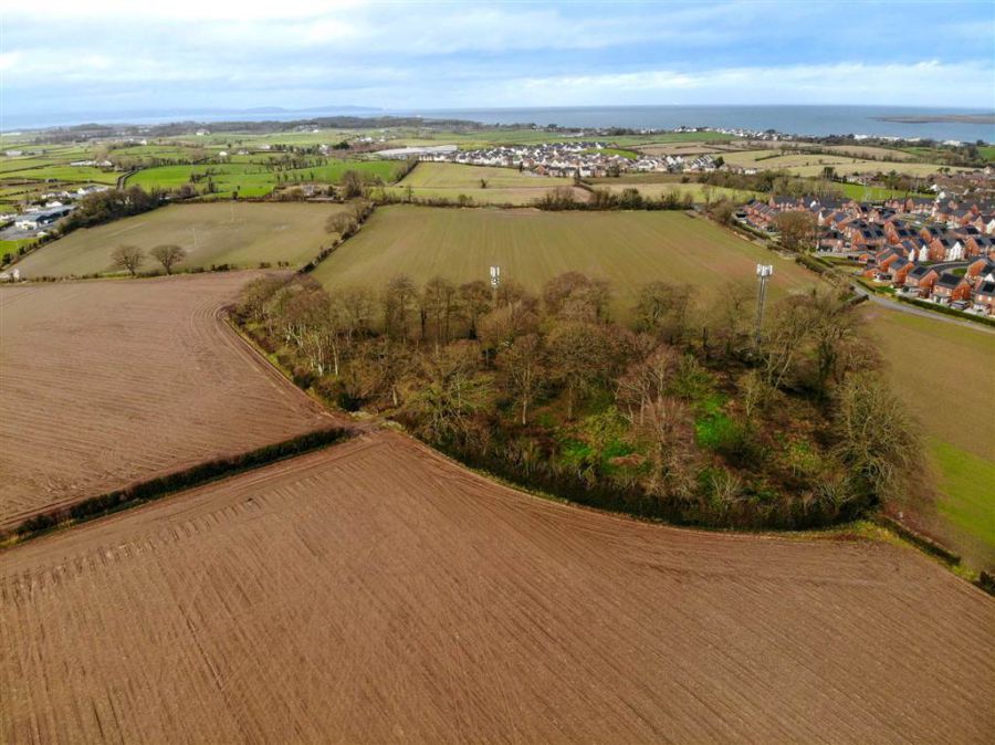 C. 61.2 Acres Agric Land Newtownards Road