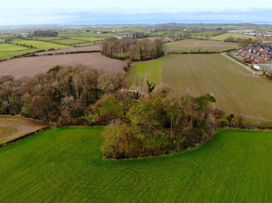 C. 61.2 Acres Agric Land Newtownards Road