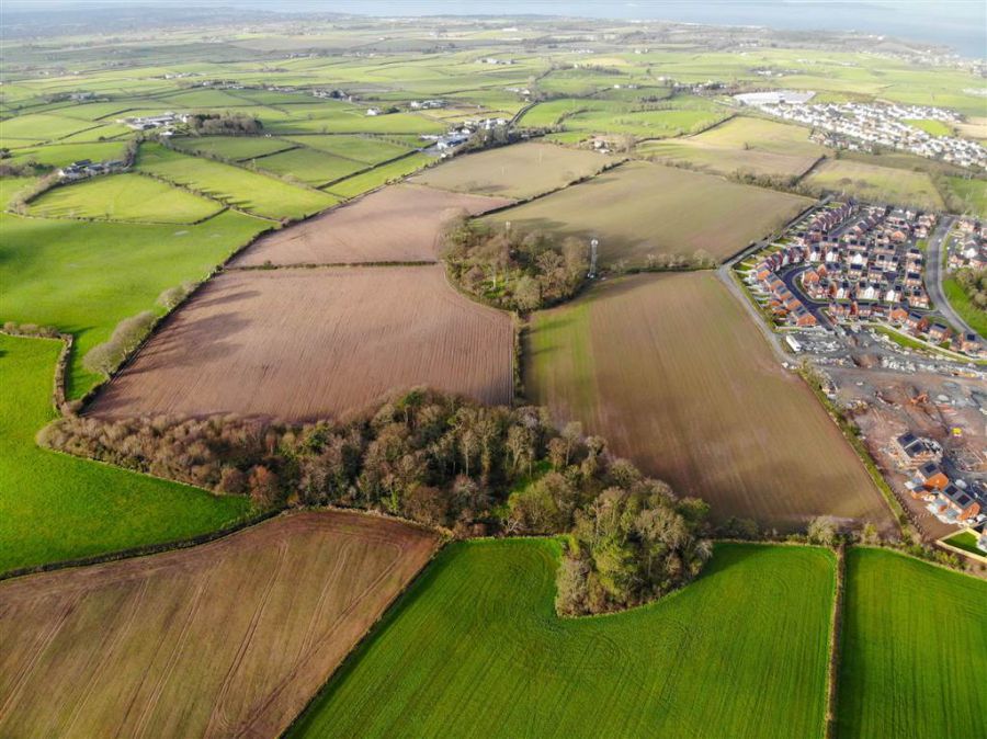 C. 61.2 Acres Agric Land Newtownards Road