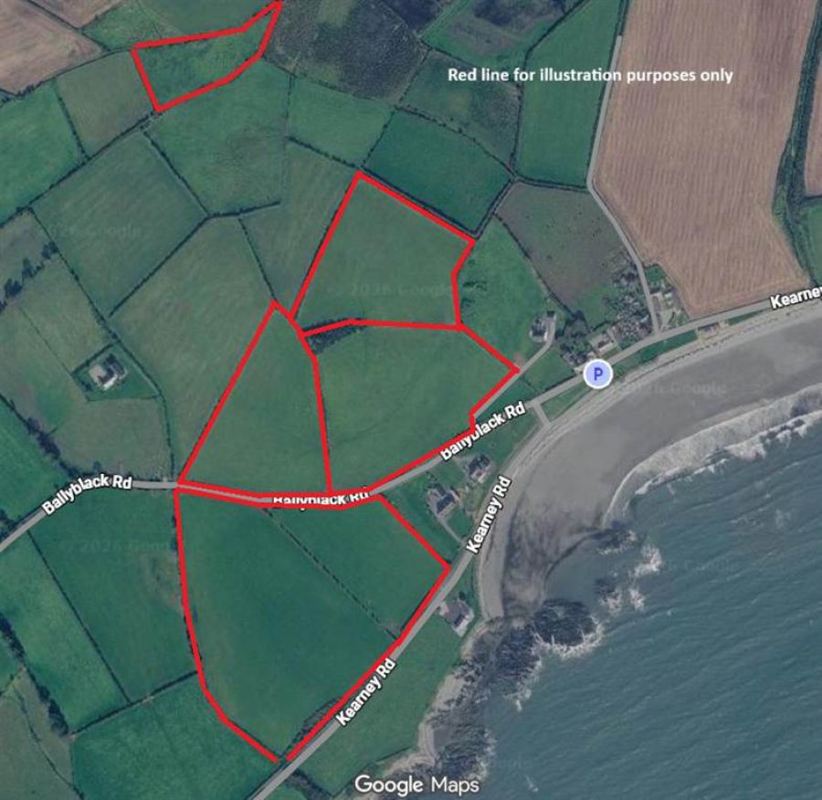 C. 36 Acres Of Agricultural Land Ballyblack Road