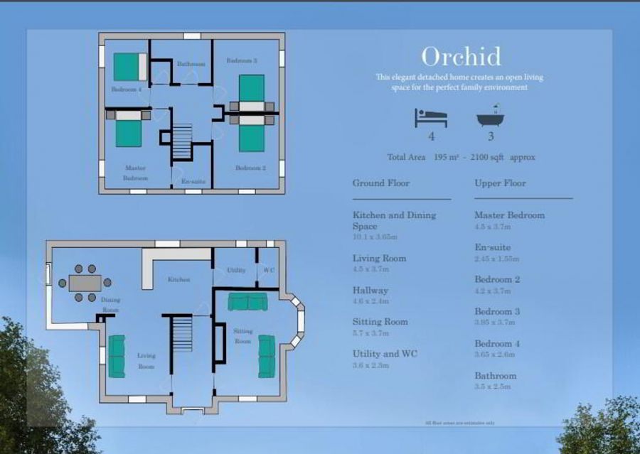 Orchid Rosscah View