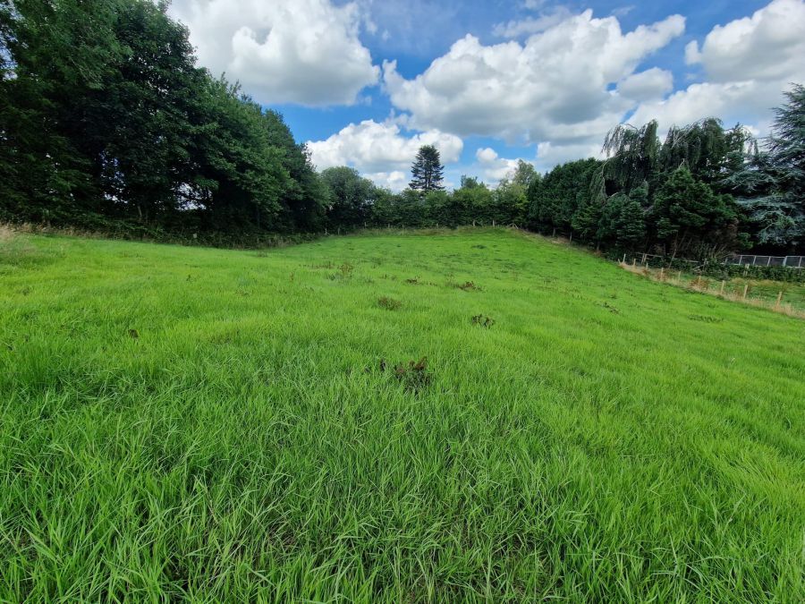 Site (Full Planning Permission) Drumbulcan Road Site (Full Planning Permission) Drumbulcan Road