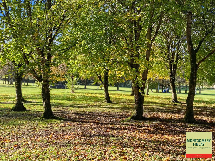 22 Castle Hume Court