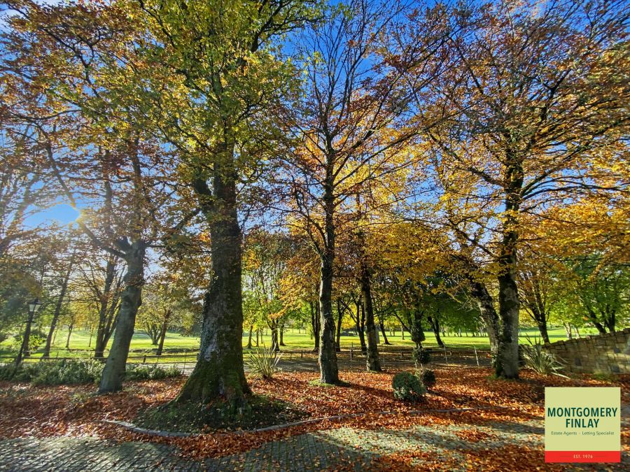 22 Castle Hume Court