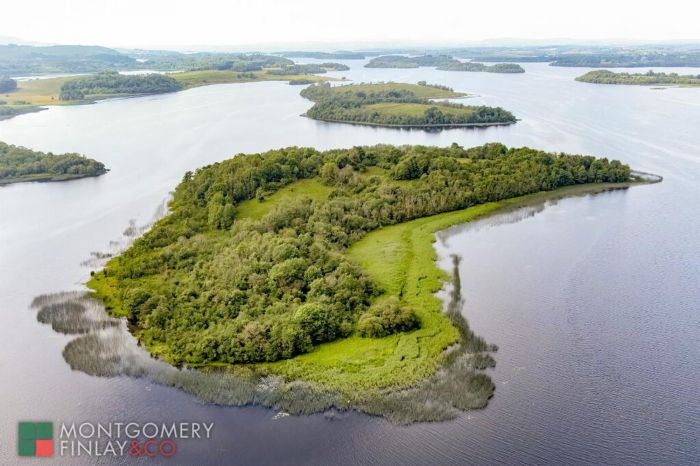 Carr Island, lower lough erne, enniskillen, BT