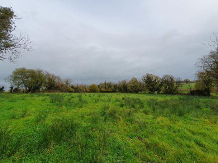 Derrylea Road