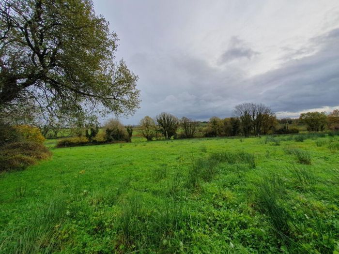 Derrylea Road